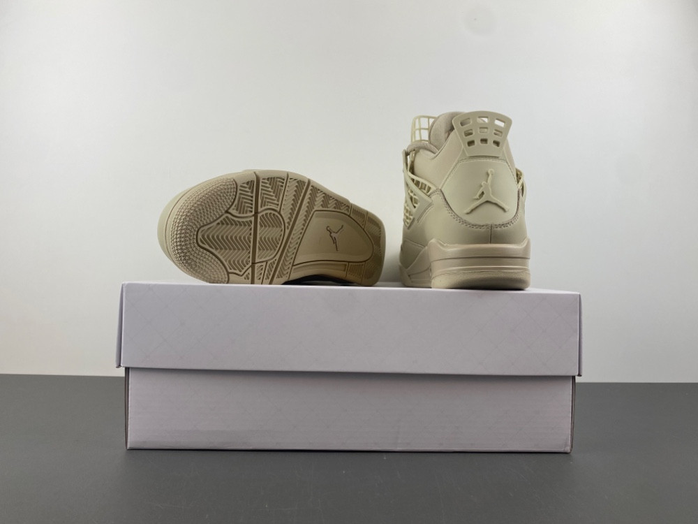 Air Jordan 4 WMNS NET "Rattan" FN7251-200