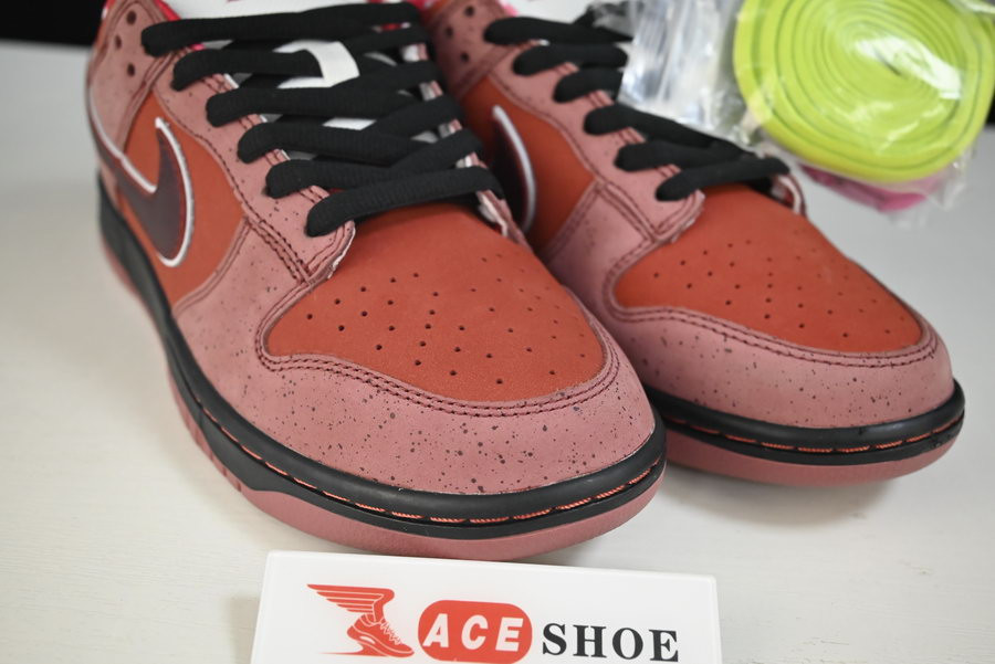 nike dunk sb low red lobster 313170-661