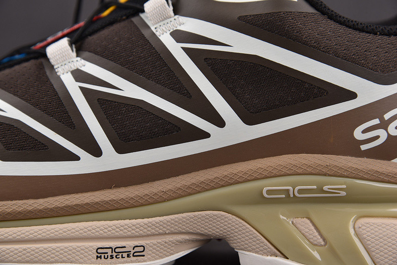 salomon xt-6 advanced