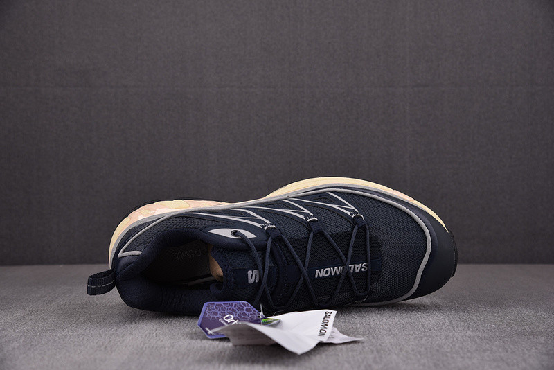 salomon xt-6 expanse